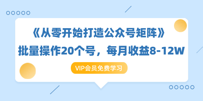 《从零开始打造公众号矩阵》批量操作20个号，每月收益大概8-12W（44节课）-氢气球网创资源库