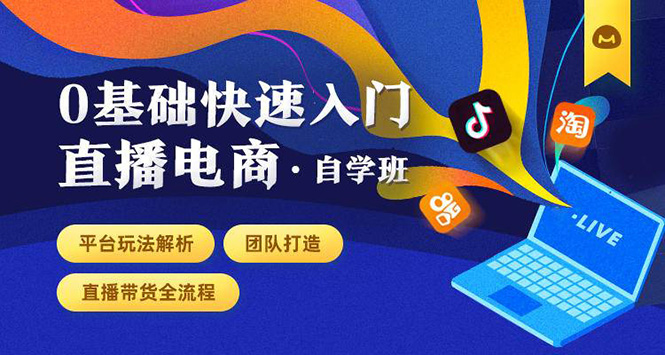 0基础快速入门直播电商课程：直播平台玩法解析-团队打造-带货全流程等环节-氢气球网创资源库
