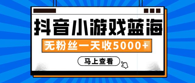 赚钱计划：抖音小游戏蓝海项目，无粉丝一天收入5000+-氢气球网创资源库