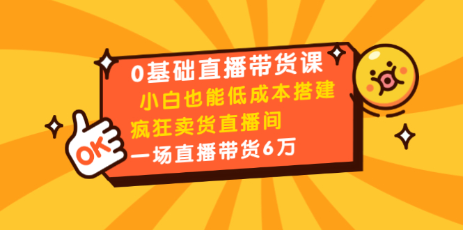 0基础直播带货课：小白也能低成本搭建疯狂卖货直播间：1场直播带货6万-氢气球网创资源库