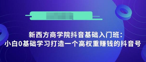 抖音基础入门班：小白0基础学习打造一个高权重赚钱的抖音号-氢气球网创资源库