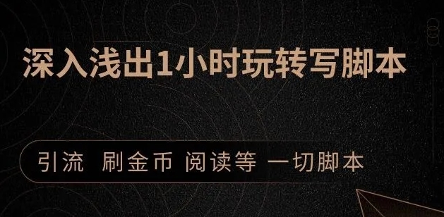 引流脚本实战课：1小时深入浅出视频实操讲解，教你0基础学会写引流脚本-氢气球网创资源库