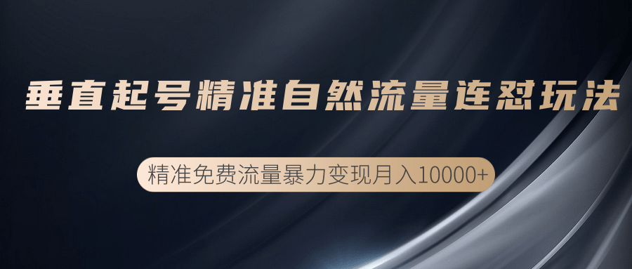 垂直起号精准自然流量连爆玩法，精准引流暴力变现月入10000+-氢气球网创资源库