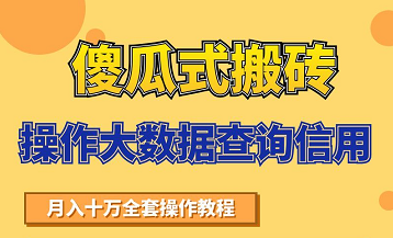 搬砖操作大数据查询信用项目赚钱教程，祝你快速月入6万-氢气球网创资源库