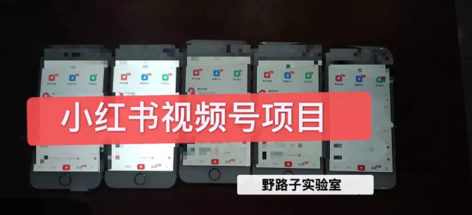 野路子小红书视频号1.0项目，直接上手操作就能赚钱的视频号项目-氢气球网创资源库
