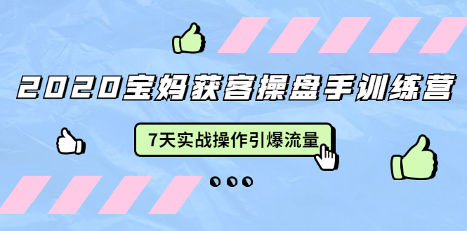 2020宝妈获客操盘手训练营：7天实战操作引爆 母婴、都市、购物宝妈流量-氢气球网创资源库