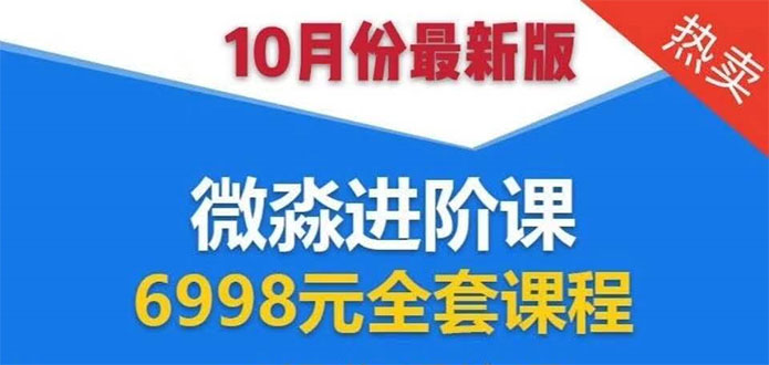 微淼理财进阶课全套视频：助你早点实现财务自由，理论学习+案例分析+实操-氢气球网创资源库