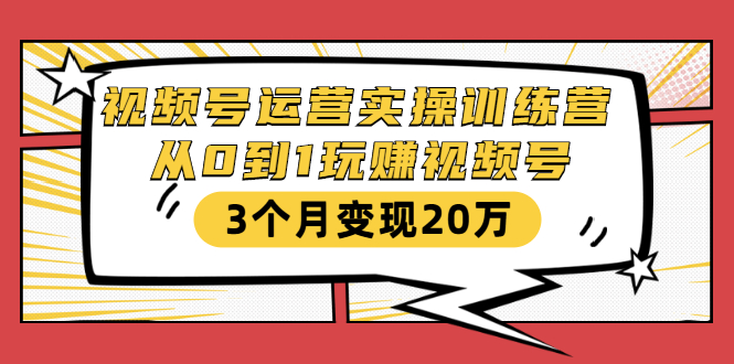 视频号运营实操训练营：从0到1玩赚视频号，3个月变现20万-氢气球网创资源库