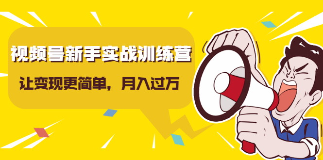 视频号新手实战训练营，让变现更简单，玩赚视频号，轻松月入过万-氢气球网创资源库