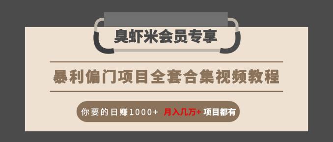 暴利偏门项目全套合集视频教程：你要的日赚1000+月入几万+项目都有-氢气球网创资源库