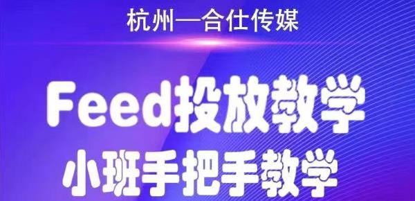 合仕传媒Feed投放教学，手把手教学，开车烧钱必须自己会-氢气球网创资源库