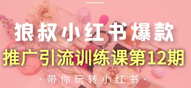 狼叔小红书爆款推广引流训练课第12期，手把手带你玩转小红书-氢气球网创资源库