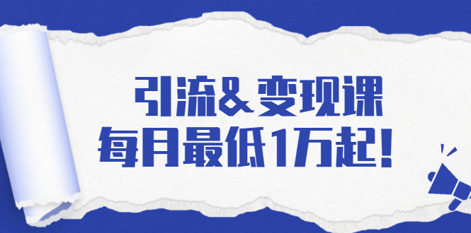 引流&变现课：分享一整套流量方法以及各个渠道收入，每月最低1万起！-氢气球网创资源库