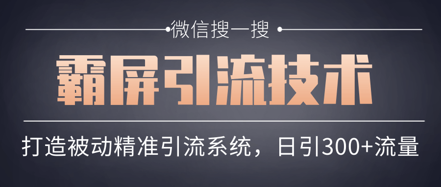 微信搜一搜霸屏引流技术，打造被动精准引流系统，轻松日引300+流量-氢气球网创资源库