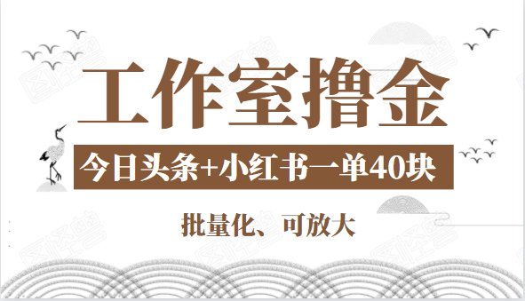 工作室撸金二件套：撸今日头条原创收益+小红书一单利润40块项目-氢气球网创资源库