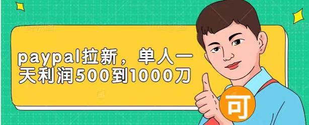 Paypal拉新赚美刀项目，单人一天利润500-1000刀【视频课程】-氢气球网创资源库