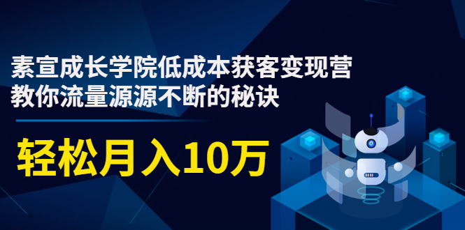素宣成长学院低成本获客变现营，教你流量源源不断的秘诀，轻松月入10万-氢气球网创资源库