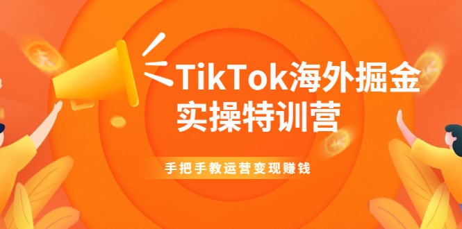 TikTok海外掘金实操特训营：手把手教运营变现赚钱-氢气球网创资源库