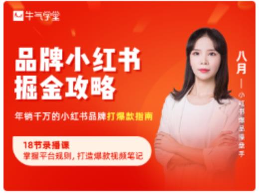 品牌小红书掘金攻略，年销千万的小红书品牌打爆款指南-氢气球网创资源库