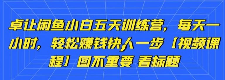 卓让闲鱼小白五天训练营，每天一小时，轻松赚钱快人一步-氢气球网创资源库