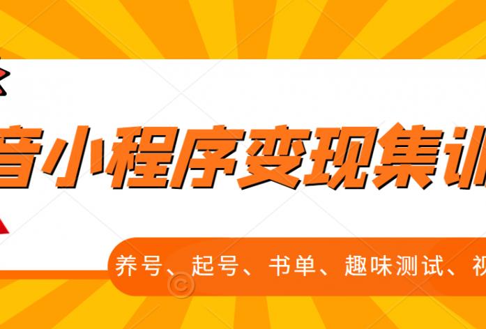 抖音小程序变现集训课，养号、起号、书单、趣味测试、视频剪辑，全套流程-氢气球网创资源库