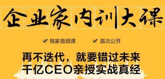 企业家内训大课，未来企业必学经验，价值1299元-氢气球网创资源库