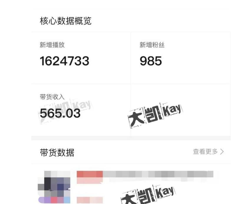 大凯进阶圈新玩法之拼多多视频玩法，利润大概一个号一天能有500~1500的左右!-氢气球网创资源库