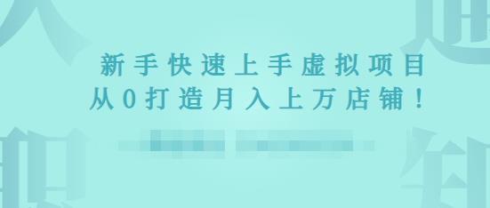 2022年虚拟项目实战指南，新手从0打造月入上万店铺-氢气球网创资源库