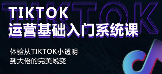 Tiktok实操进阶课程，体验从tiktok小透明到大佬的完美蜕变-氢气球网创资源库