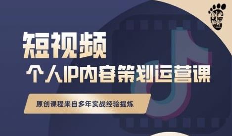 抖音短视频个人ip内容策划实操课，真正做到普通人也能实行落地-氢气球网创资源库
