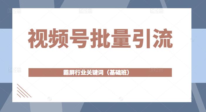视频号批量引流，霸屏行业关键词（基础班）全面系统讲解视频号玩法-氢气球网创资源库