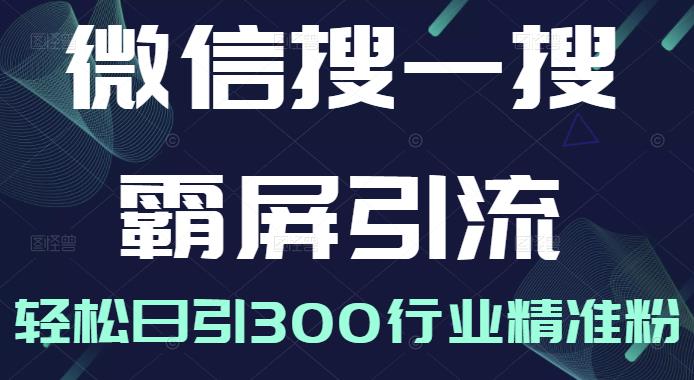 微信搜一搜霸屏引流课，打造被动精准引流系统，轻松日引300行业精准粉-氢气球网创资源库