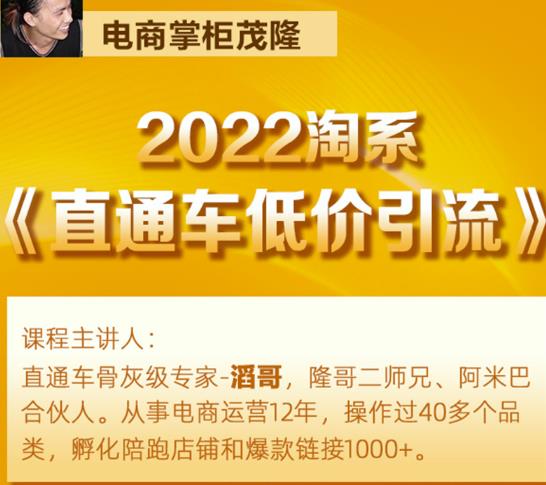茂隆2022直通车低价引流玩法，教大家如何低投入高回报的直通车玩法-氢气球网创资源库