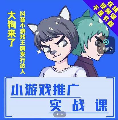 大狗来了：小游戏推广实战课，带你搭建一个游戏推广变现账号-氢气球网创资源库