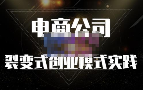 聚草堂·电商公司裂变式创业模式实践，电商卖家的人力资源管理分享-氢气球网创资源库