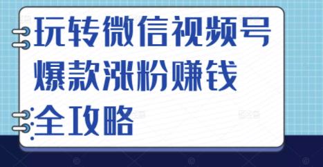 玩转微信视频号爆款涨粉赚钱全攻略，让你快速抓住流量风口，收获红利财富-氢气球网创资源库