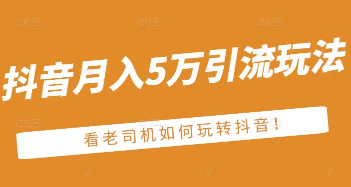 老古董·抖音月入5万引流玩法，看看老司机如何玩转抖音(附赠：抖音另类引流思路)-氢气球网创资源库