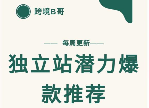 【跨境B哥】独立站潜力爆款选品推荐，测款出单率高达百分之80-氢气球网创资源库