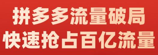 阿杰·拼多多流量破局:如何打黑标，爆款的思路，拼多多流量框架，快速抢占百亿流量-氢气球网创资源库