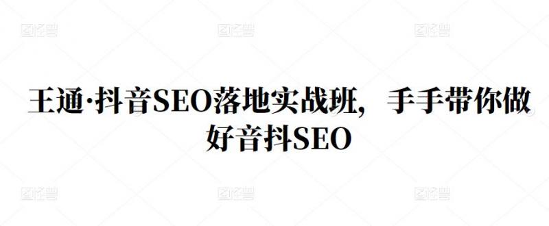 王通·抖音SEO落地实战班，手‬手带你做好音抖‬‬SEO-氢气球网创资源库