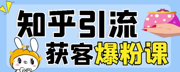2022船长知乎引流+无脑爆粉技术：每一篇都是爆款，不吹牛，引流效果杠杠的-氢气球网创资源库
