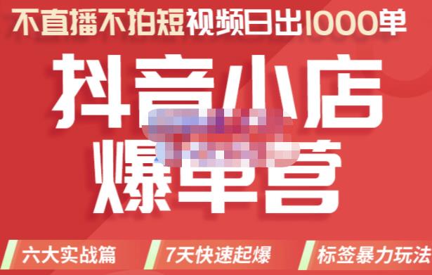 推易电商·2022年抖音小店爆单营，不直播、不拍短视频、日出1000单，暴力玩法-氢气球网创资源库