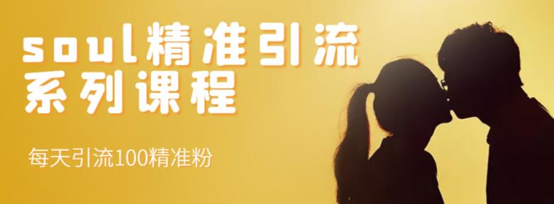 soul精准引流系列课程，每天引流100精准粉-氢气球网创资源库