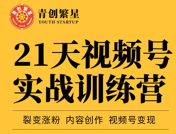 张萌21天视频号实战训练营，裂变涨粉、内容创作、视频号变现 价值298元-氢气球网创资源库