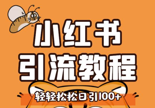 小红书运营引流全系列课程，每天引流100精准粉-氢气球网创资源库