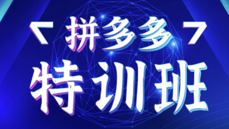 星雪教育·拼多多基础班+进阶班+突破班，用系统的学习模式快速改变现状价值3580元-氢气球网创资源库
