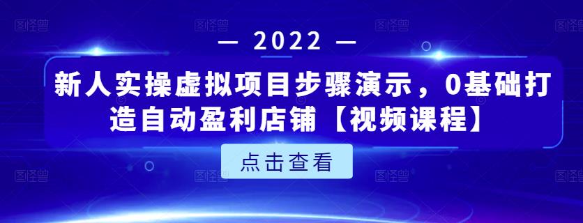 新人实操虚拟项目步骤演示，0基础打造自动盈利店铺【视频课程】-氢气球网创资源库