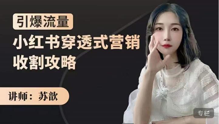 苏歆：小红书穿透式营销收割攻略，引爆流量，助你玩转小红书-氢气球网创资源库