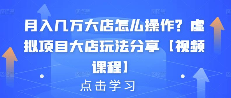 月入几万大店怎么操作？虚拟项目大店玩法分享【视频课程】-氢气球网创资源库