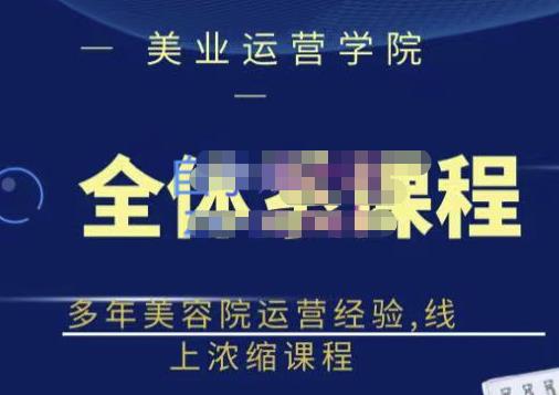 郑芳老师·网红美容院全套营销落地课程，多年美容院运营经验，线上浓缩课程-氢气球网创资源库